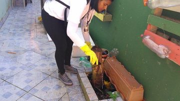 Prefeitura mantém as ações de combate à dengue, chikungunya e zika no inverno - Divulgação