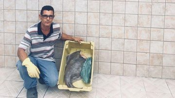 Animal foi encontrado pela PM sem cabeça e à venda no Centro - Divulgação/ Polícia Militar Ambiental