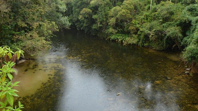 Parque das Neblinas - Diego Bachiéga/PMB