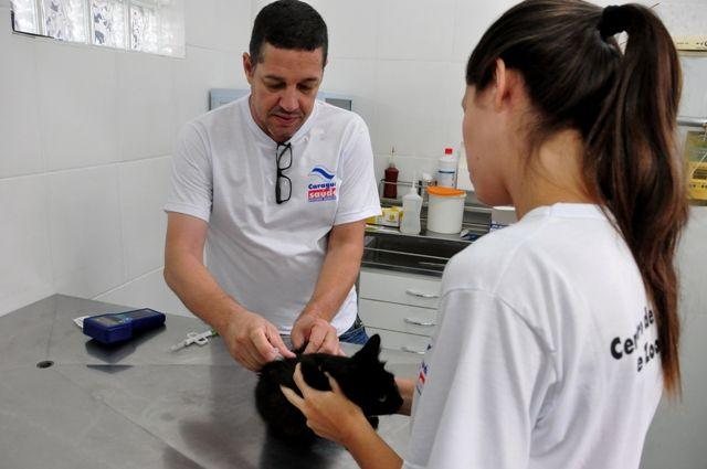 Cadastro deve ser feito no CCZ de segunda a sexta-feira, a partir das 9 horas - Divulgação/PMC
