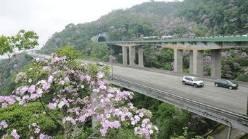 Viadutos e túneis serão vistoriados - Ecovias/Divulgação