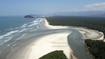 Parque Estadual da Restinga de Bertioga - Pedro Rezende/JCN
