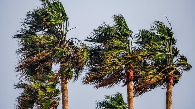 Chegada de ciclone subtropical deve atingir a costa do Sudeste Tempo muda com chegada de ciclone subtropical, diz Climatempo - Reprodução/Internet