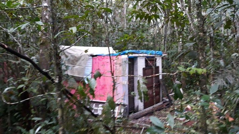 Caso caracteriza-se como invasão, supressão de vegetação e construção irregular de barracos - Divulgação/DOA