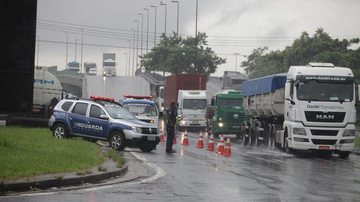 Veterinários constataram maus-tratos a animais transportados - Raimundo Rosa/PMS