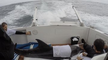 Costa Norte