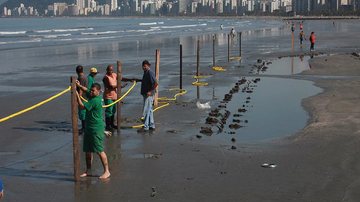Costa Norte