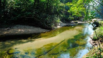 Costa Norte
