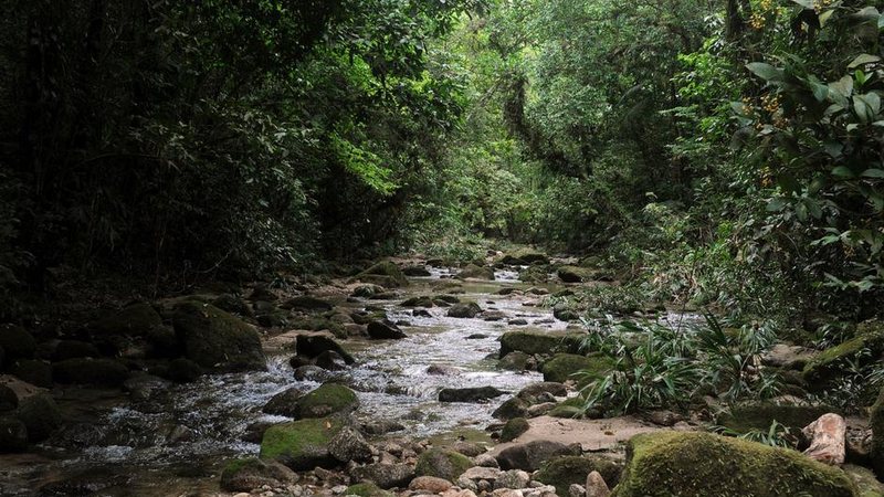 Costa Norte