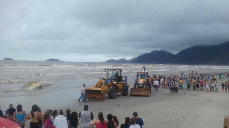 Costa Norte