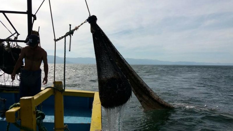 Costa Norte