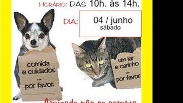 Costa Norte