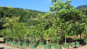 Costa Norte