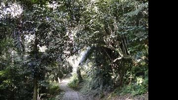 Costa Norte