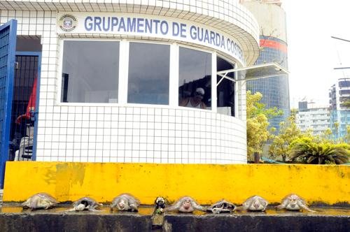 Costa Norte