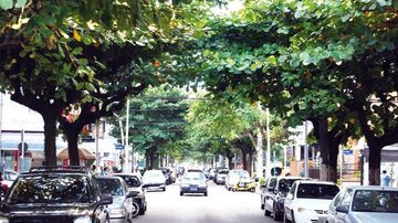 Costa Norte