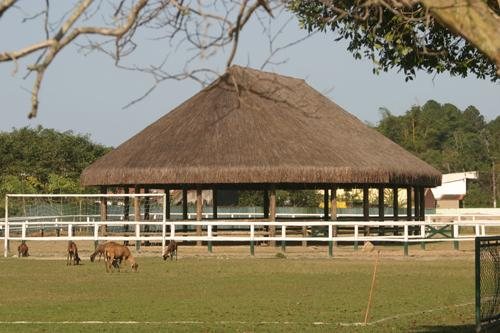 Costa Norte