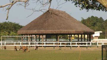 Costa Norte
