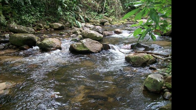 Costa Norte