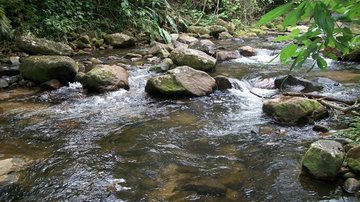 Costa Norte