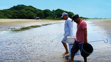 Costa Norte