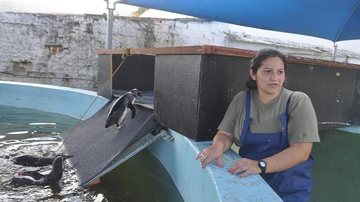 Costa Norte