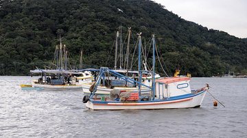 Costa Norte