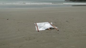 Costa Norte