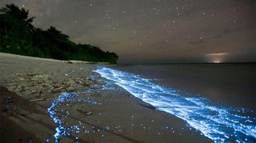 Costa Norte