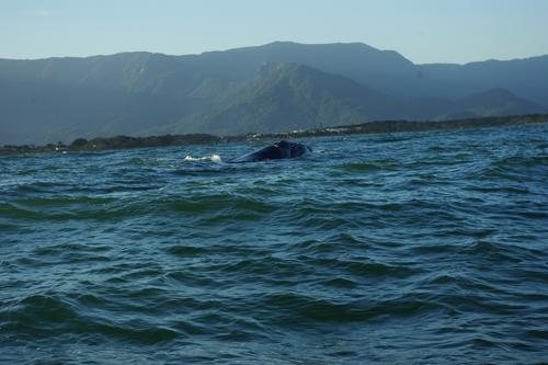 Costa Norte