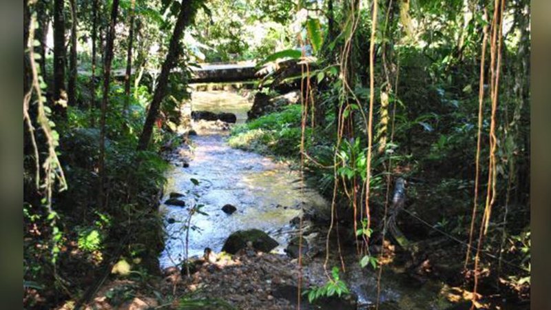 Costa Norte