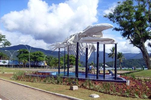 Costa Norte