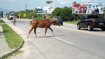 Costa Norte