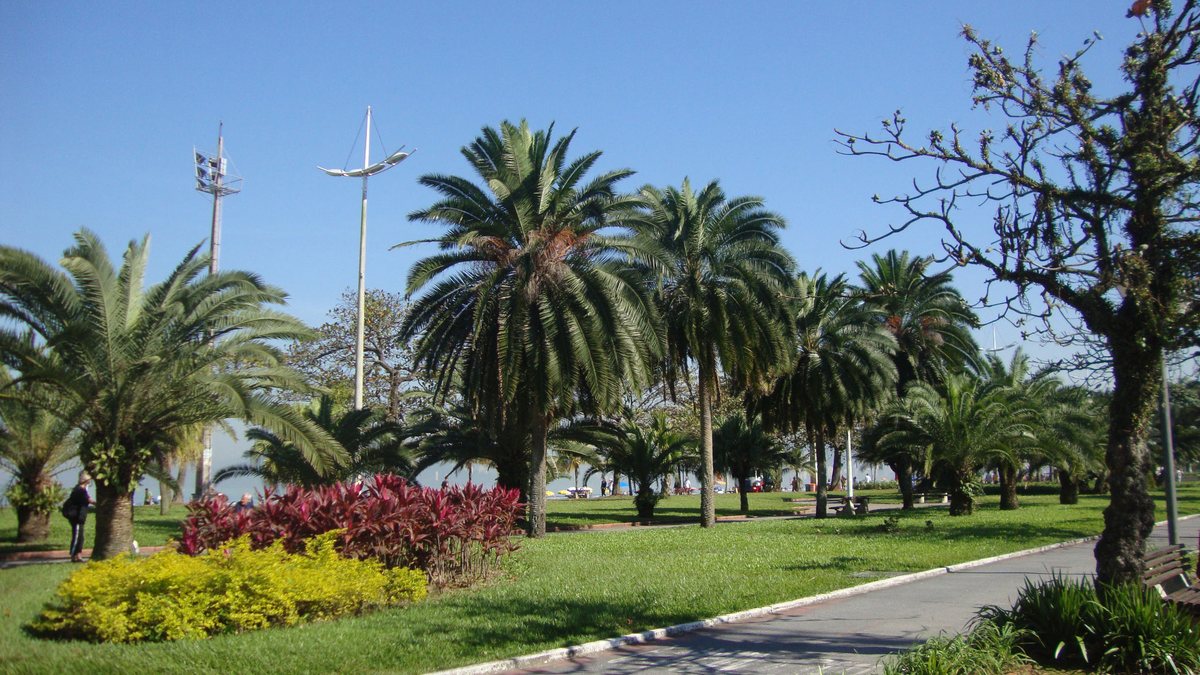 Jardim da Orla - Luciana Sotelo