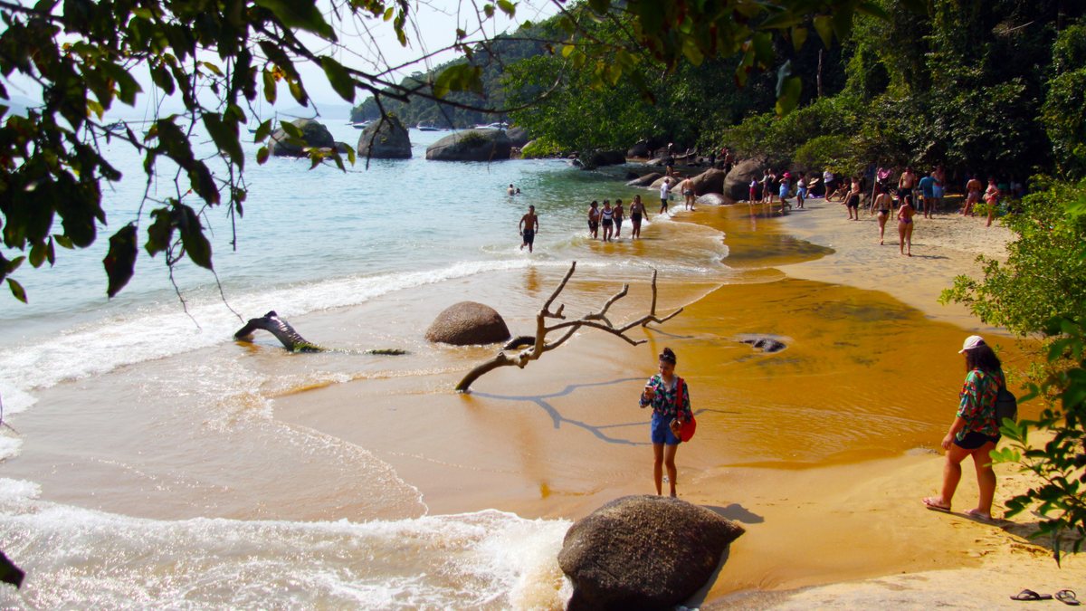 Aquário natural / Ilha Anchieta - Reginaldo Pupo