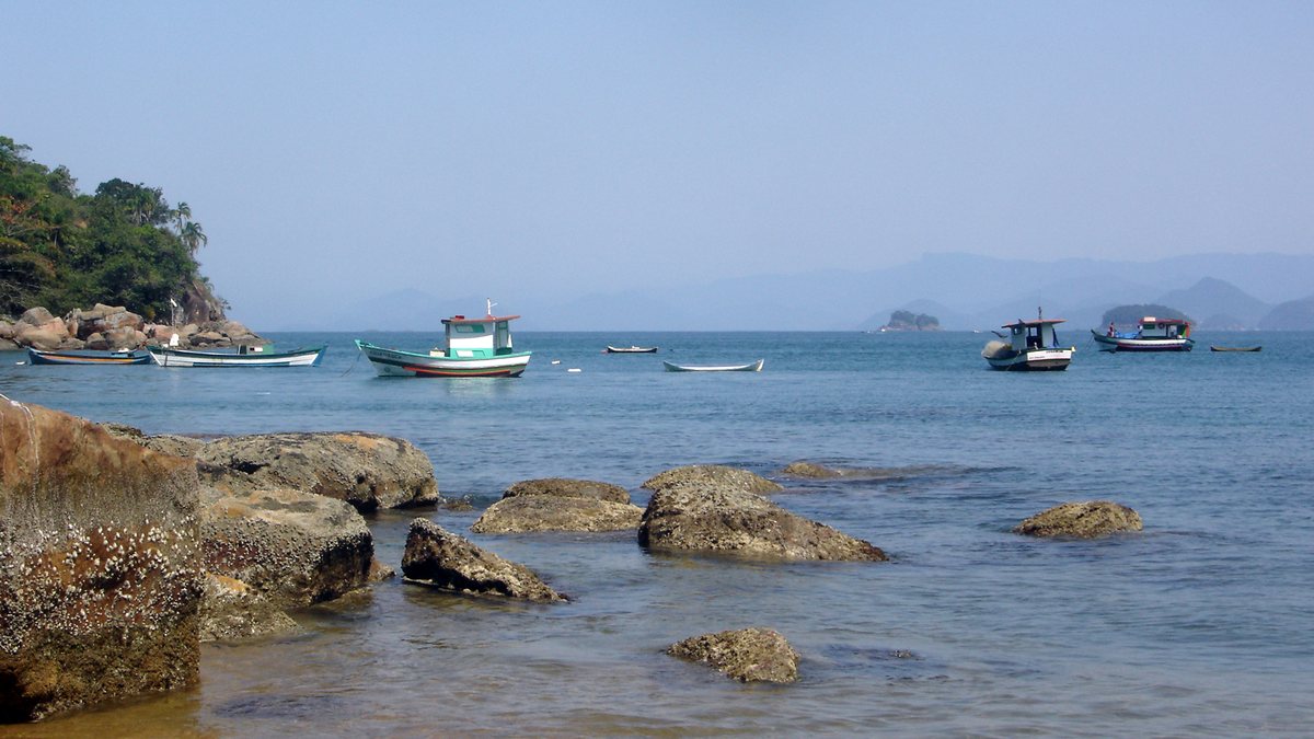 Picinguaba - Pedro Rezende