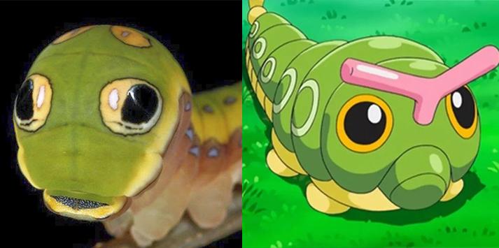 10 Pokémon que lembram animais bizarros da vida real - Canaltech