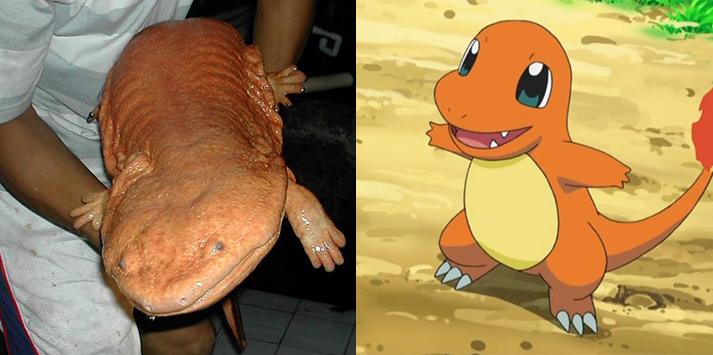 10 Pokémon que lembram animais bizarros da vida real