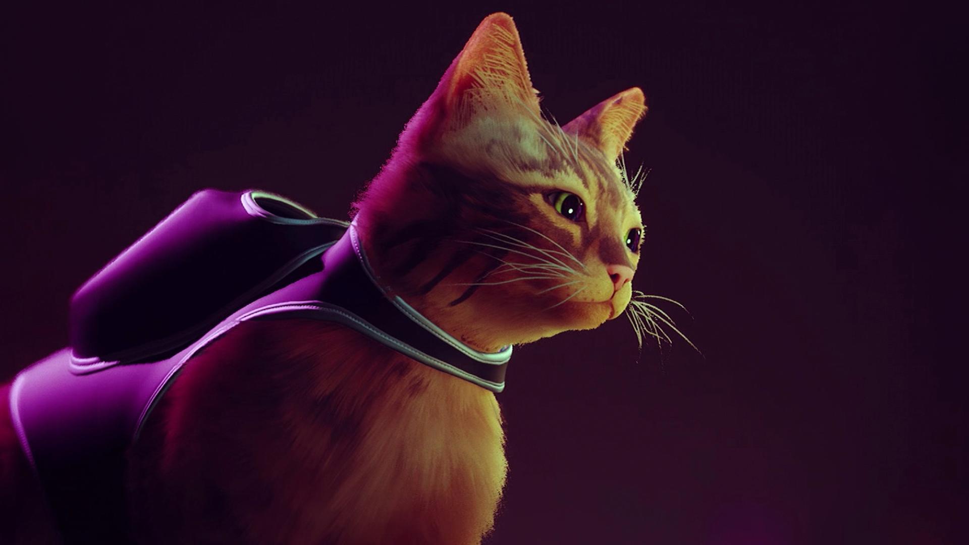 Seis curiosidades sobre o jogo do gato cyberpunk