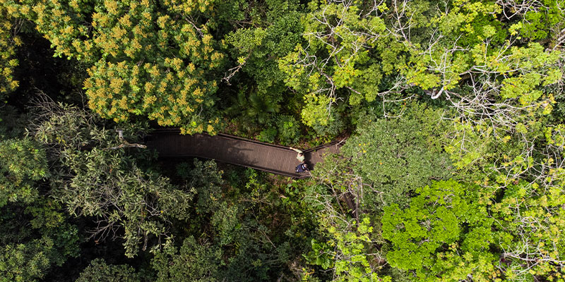 área verde