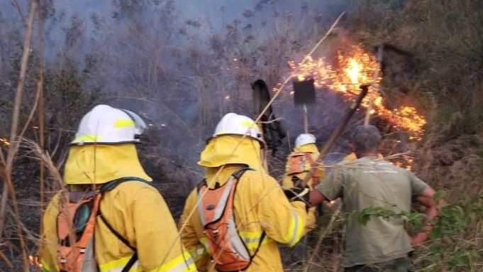 bombeiros agem em Ilhabela após incêndio