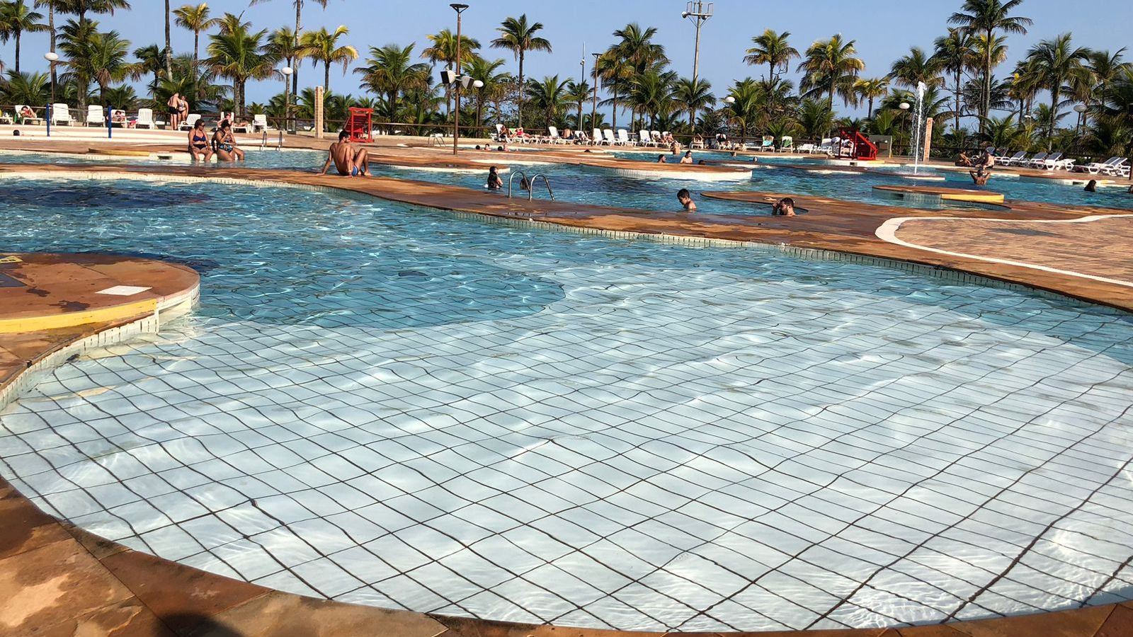 Uma piscina com a água bem clara e o fundo azul, a borda com azulejos escuros e ao fundo várias palmeiras