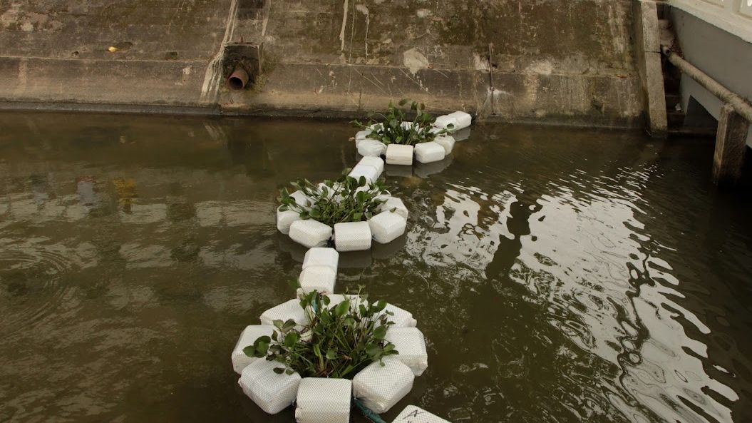 Ecobarreiras em canal de Santos