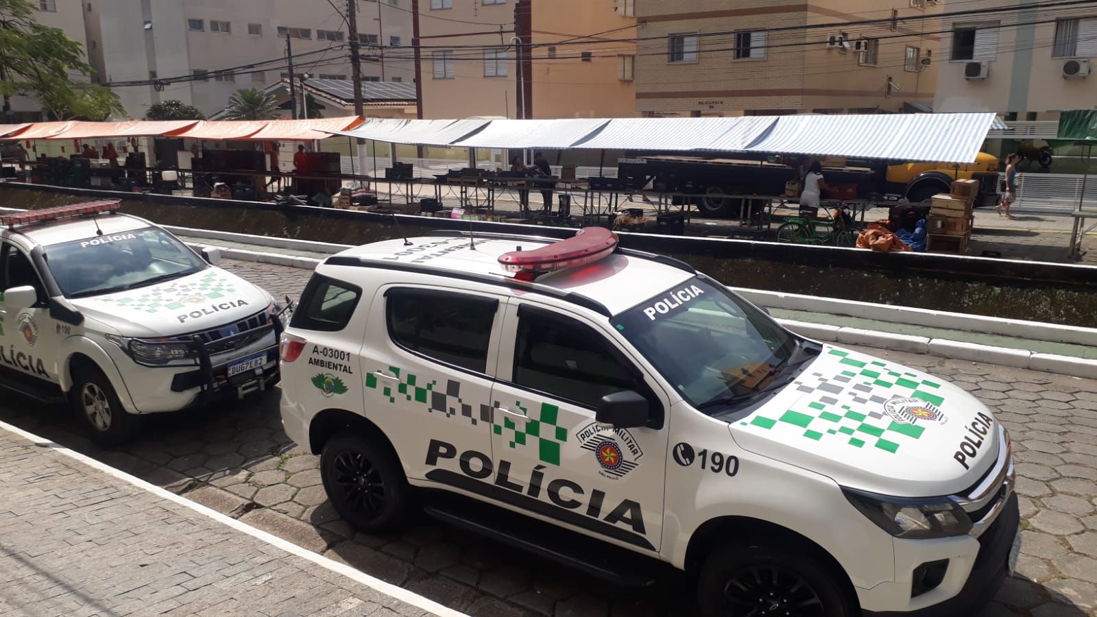 Sagui vendido ilegalmente é resgatado em Santos 