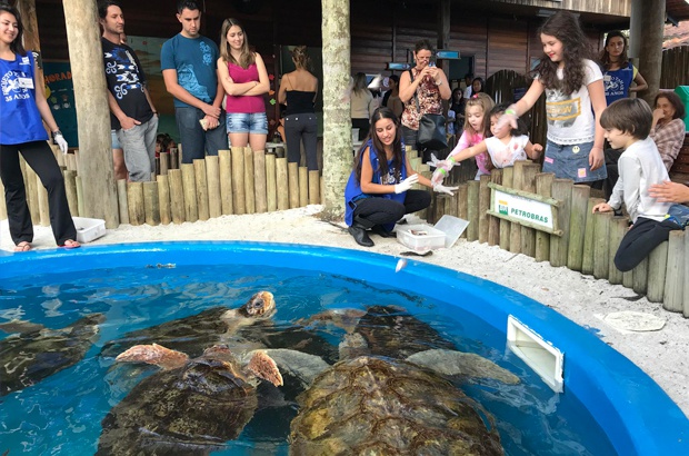 Imagem mostra interação dos visitantes com tartarugas no Projeto Tamar Ubatuba
