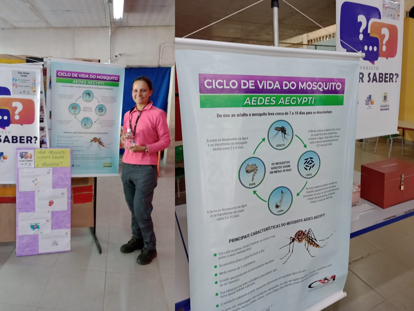 Ação informativa sobre o ciclo da dengue 