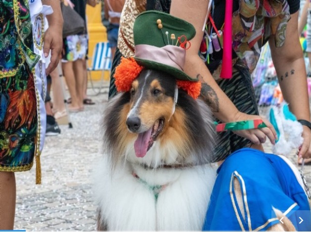 Carnapet é uma das atrações do Carnaval de São Sebastião