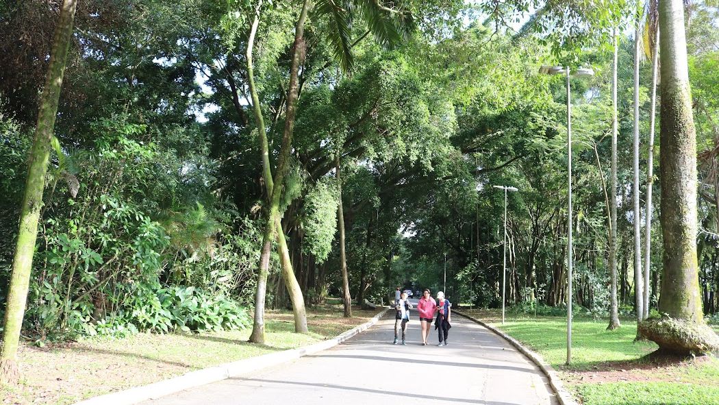 Jardim Botânico de Santos
