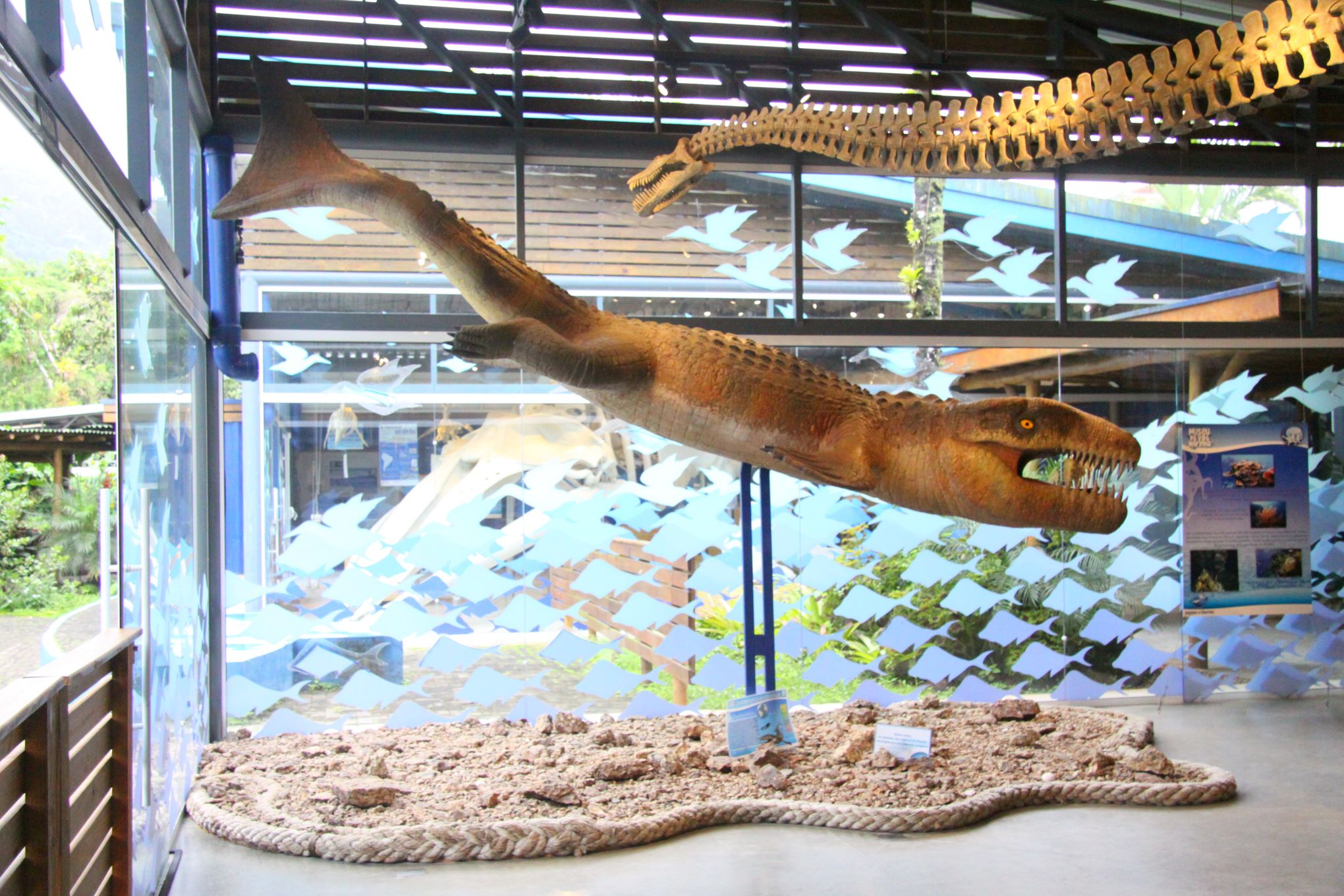 réplica de animal pré-histórico no museu marinho de Ubatuba