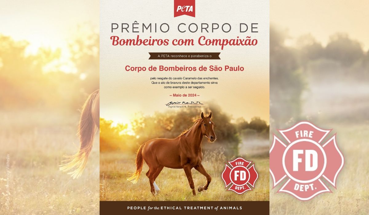 Prêmio do Peta aos bombeiros de SP